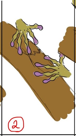 New Animation Dropping Soon 👀 #animation