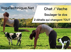 Posture du Chat et de la Vache : guide pratique complet