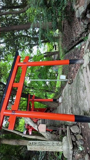 水と光が祝福する神域。上賀茂神社