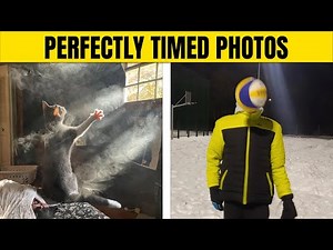 The Funniest Perfectly Timed Photos That People Have Posted