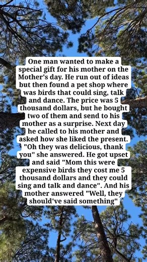 A talking bird#jokes #laugher #memes #shortvideo #youtubeshorts