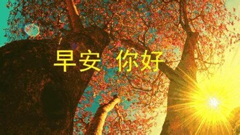 Calendar and Grumpy Bird