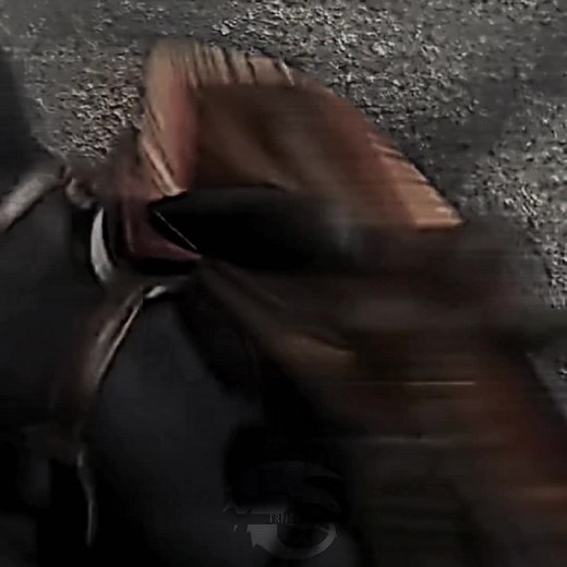 Epic Toothless vs Hookfang Battle