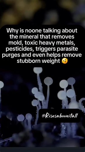 ℝ𝕚𝕤𝕖𝕤𝕒𝕓𝕠𝕧𝕖𝕚𝕥𝕒𝕝𝕝- Functional + Holistic Medicine | The Mineral Nobody Is Talking About… But EVERYONE Should Be✨ This isn’t just another “supplement.” This is the mineral that’s removing... | Instagram