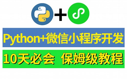 火爆全网的Python+Minium小程序开发，10天必会，保姆级教程