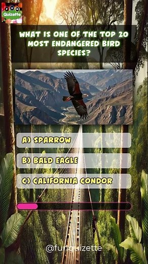 QUIZ: Guess the Endangered Animal! (SHORTS)