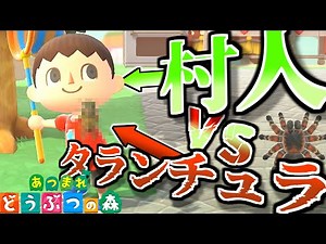 [Animal Crossing] Villager vs Tarantula [Animal Crossing: New Horizons]