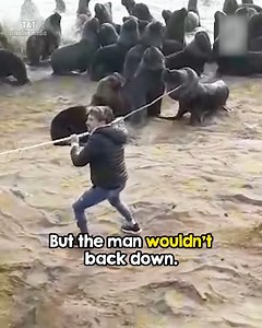 289K views · 3.9K reactions | Man Saves Sea Lion | Pet Kingdom | Facebook