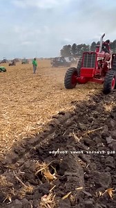 CASE IH 7140 MAGNUM Tractor Plowing #punjab #nature #tractorlove #agriculturelife #farmingsimulator #global #tractorsupply #kubota #wale #jattwaad #photography #landwirt #agricoltura #tractorlovers #tracteur #deutzfahr #tractorpulling #pb #tractores #agricultural #t #pendu #k #tractorpulls #tractorpull #tractorshow #combine #trattori #agricultureworldwide #jcb | Thort NaRak