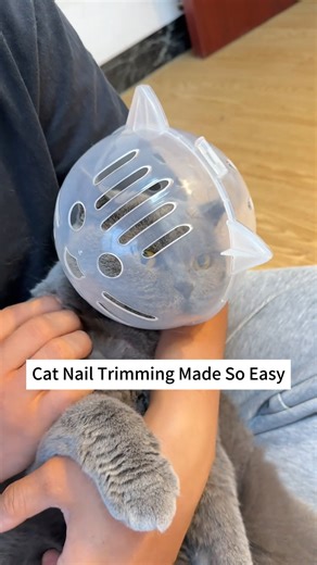 The Secret to Easy Cat Nail Trimming 😻 #catsgrooming #chat #katze #kat #gatto #gata #gato #kot #kotka #CatCare #PetGrooming #CatNailClipping #CatProducts #cats #catlovers | Glampawstorepets