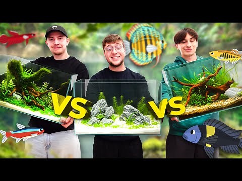 Let's take a tour of ALL our AQUARIUMS! Who has the best fish?