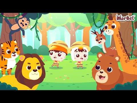 Learning English Made Fun! Meet 20 Cute Animals! | Toddler Education | Marbel