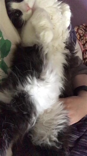 Katie Connors (@katieconnors_)’s videos with original sound