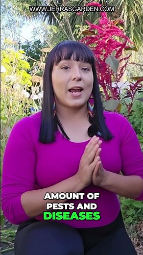 Squash Growing Tips for Any Climate: Cold vs. Hot