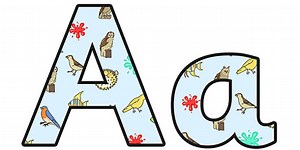 Variation and Classification Small Lowercase Display Lettering