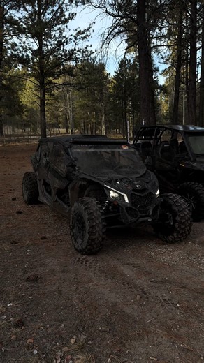 Can-Am vs RZR: Choose Your Ultimate Off-Road Adventure