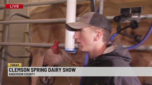 Clemson Spring Dairy show boasts one of largest in Southeast at T Ed. Garrison arena this weekend