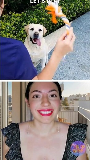 Easy Pet Hacks Every Dog Owner NEEDS to Know! 🐶✂️ #lifehacks #dog #pets