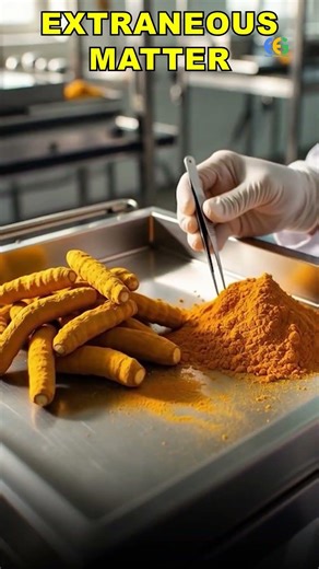 Turmeric export from India | Import Export Business | Harsh Dhawan