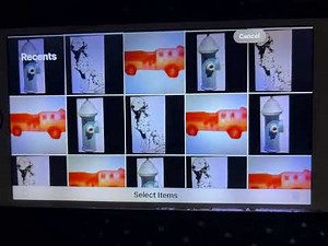 Elmo’s World: Firefighters Quiz