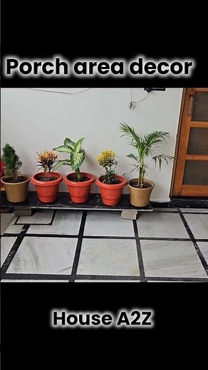 Porch area decor - New plants | House A2Z