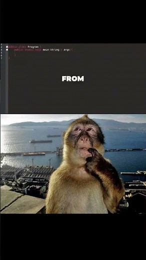 Beginner Freindly tutorial #coding #programming #javascript #python