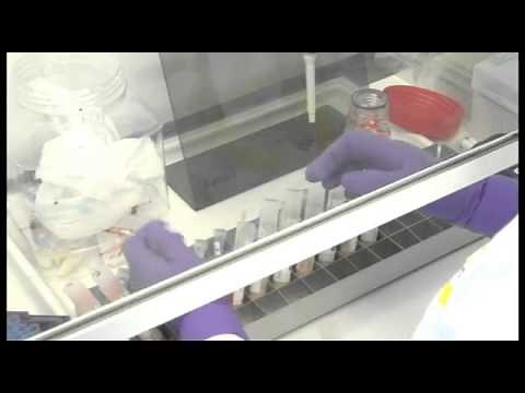 Testing for measles and other vaccine preventable diseases