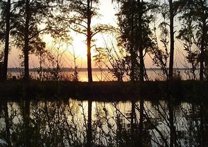 Rappahannock River Valley National Wildlife Refuge - Alchetron, the free social encyclopedia