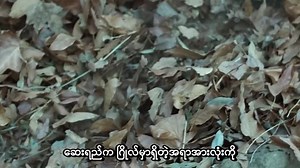 Alien Planet (2023) 720p