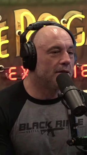 Joe Rogan & Forrest Galante discuss ants & fungus | The Joe Rogan Experience Fans