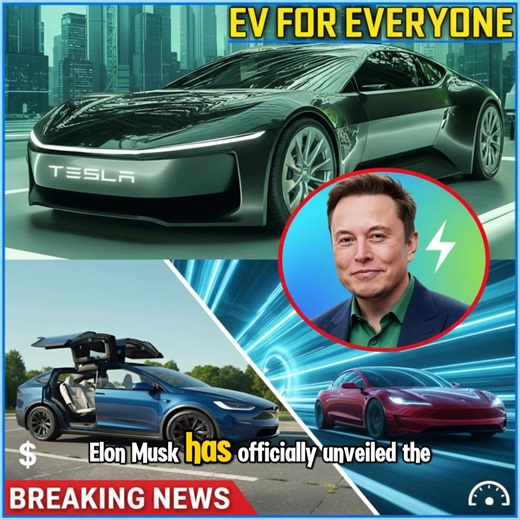 🚨 IT'S OFFICIAL! 🚀 Elon Musk just dropped the bombshell: The 2025 Tesla Model 2 is here – fully announced with all the details! 💥 💬 Full story: https://zwent.net/907/ Affordable, compact, and built for the masses – perfect for first-time EV owners without skimping on Tesla's killer range, safety, or software. ⚡️🔒 Elon says it's all about scale, not margins: This is his mission to revolutionize global transportation! 🌍 Aggressive production ramp-up and fast deliveries incoming. Competitors 