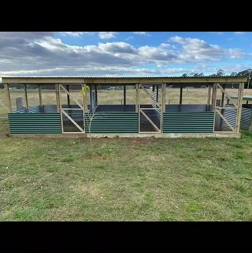 Building a Chicken Coop: Step-by-Step Guide