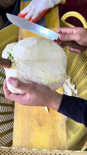 ทุเรียนหมอนทองคุณภาพเยี่ยม