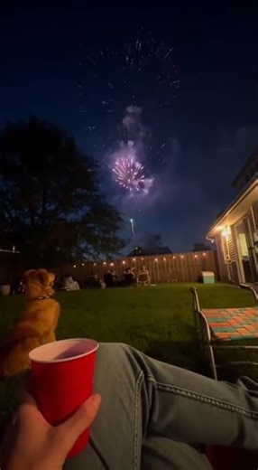 POV: It’s 1995 and You’re Watching Fireworks from the Backyard #nostalgia