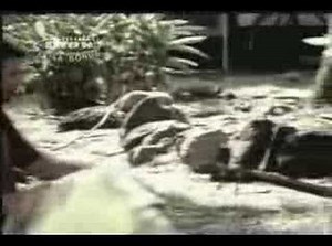 Jack Johnson - Wasting Time