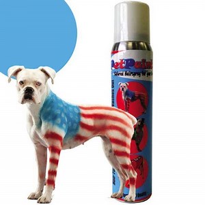 PetPaint - Spray Paint to Decorate your Pets Shark Tank Season 5