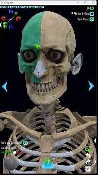 Best 2026 Anatomy Reference Tool for 3D Artists #blender #zbrush #3dsculpting