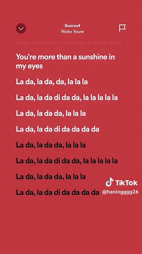 Sunroof - Nicky Youre | Full Song with Lyrics