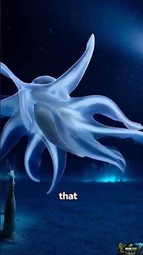 Dumbo Octopus: The Cutest Creature in the Deep Sea 😲
