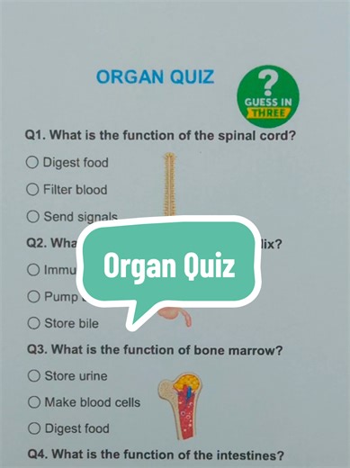 Organ Quiz: Test Your Knowledge on Body Functions