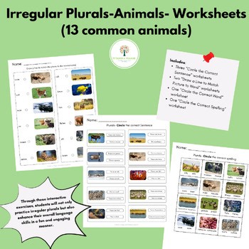 Irregular Plurals -Animals Worksheet Set (13 common animals )(ABLLS-R J15)