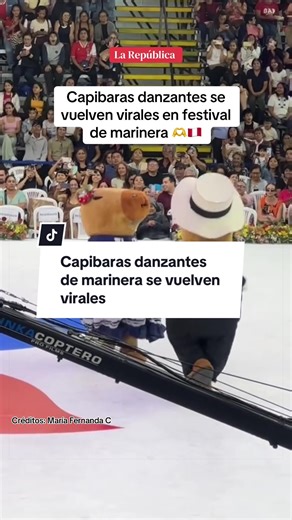 Capibaras bailando marinera en festival peruano