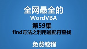 Word VBA 第59集 find方法之利用通配符查找