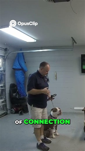 Master Dog Training Powerful Lift Technique Explained