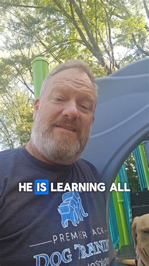 🚨 DOG OWNERS: ENOUGH IS ENOUGH 🚨 You didn’t get a dog to feel stressed every day. But right now… 🐾 Walks feel like a nightmare 🐾 Guests dread coming over 🐾 Every command turns into a shouting match It’s frustrating. It’s embarrassing. And it’s exhausting. We’re offering Dog Owners a FREE Consultation to help you understand what’s really causing your dog’s behavior and what can be done to fix it. 👉 In your consultation, we’ll: ✅ Identify the root cause of your dog’s behavior ✅ Outline a per