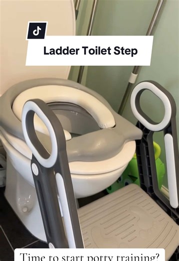 Effective Potty Training with a Step Ladder