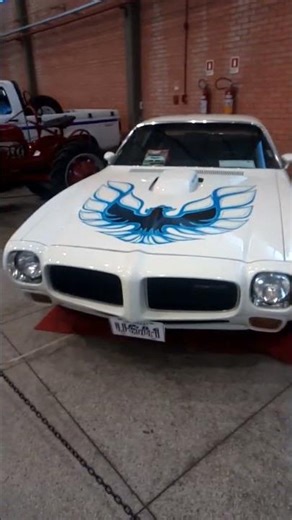 Pontiac trans Am 455 SD 1973 and Fiat 600 Multipla 1958 Car Collection #novapetrópolis