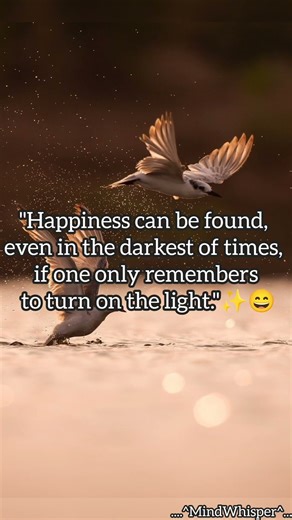 Remember to turn on the light ✨#quotes#inspiration#positivity#shorts#light#poetry#mindset#life#faith