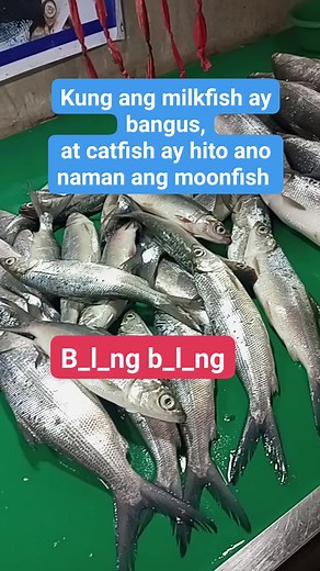 39K views · 92 reactions | Ano po ang moonfish? #fbreelsfypシ゚ #lifestyle #fblifestyle | AJE TV | Facebook