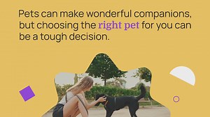 The Top 10 Best Pets that You Can Keep